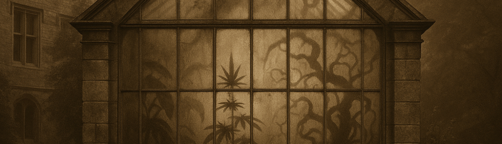 Sepia-toned photograph of a shadowy university herbarium filled with cabinets, arched windows, and tables displaying mysterious dried plant specimens and glass jars, illuminated by diffuse afternoon light.
